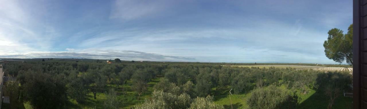 코라토 Farm Agriturismo Masseria Chiusurella 빌라 외부 사진